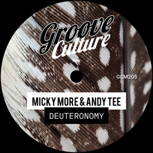 Micky More & Andy Tee的专辑Deuteronomy (Edit)