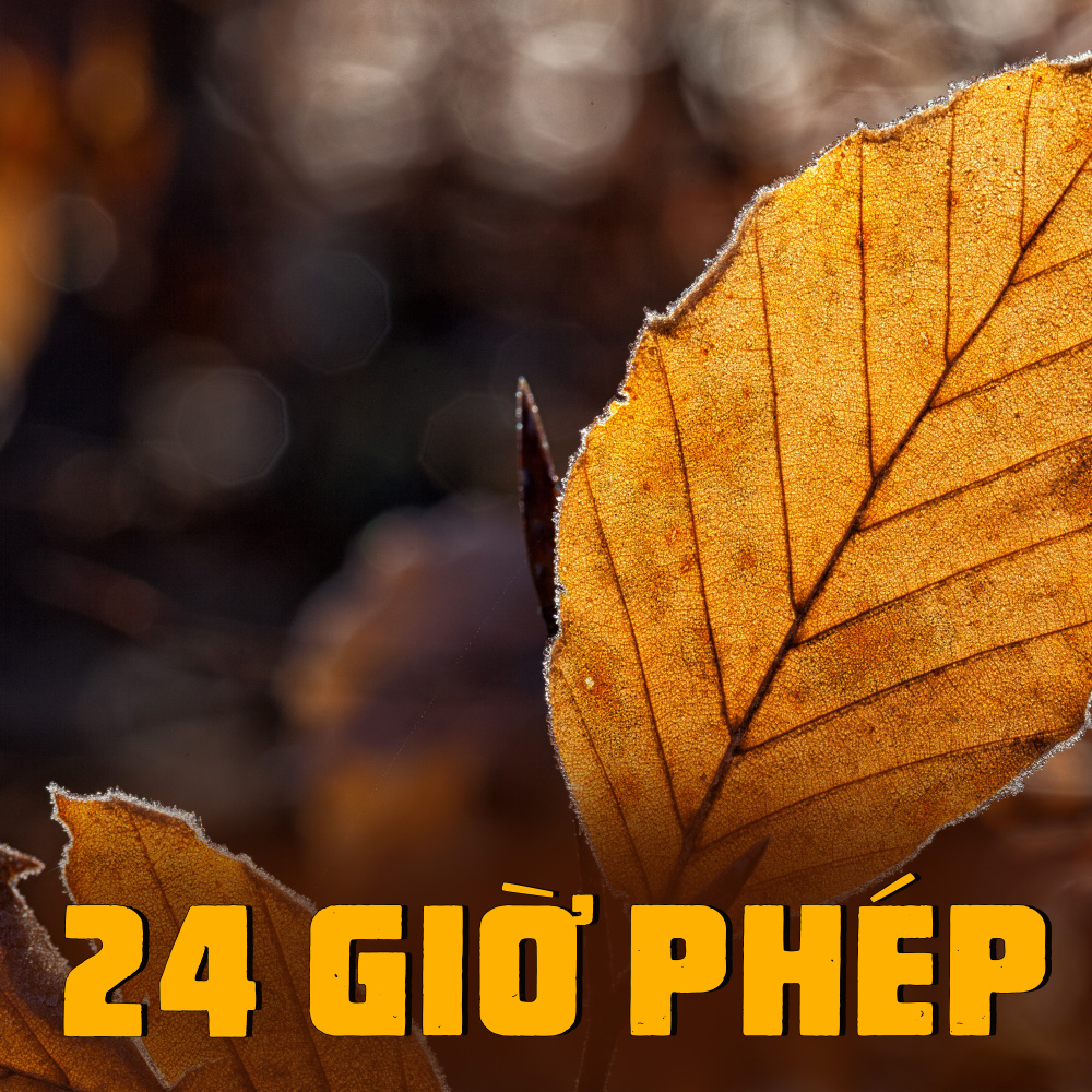 24 Giờ Phép