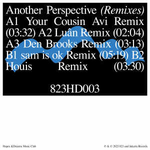 Album another perspective (Remixes) from Idealism