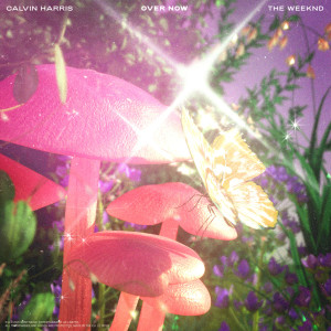 ดาวน์โหลดและฟังเพลง Over Now พร้อมเนื้อเพลงจาก Calvin Harris
