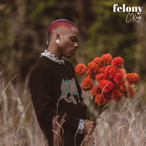 ดาวน์โหลดและฟังเพลง Felony พร้อมเนื้อเพลงจาก CKAY