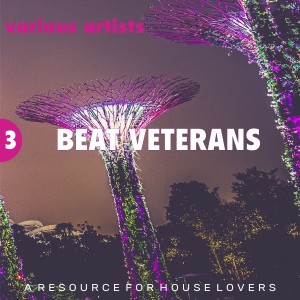 Various Artists的專輯Beat Veterans, Vol. 3