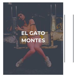 Album El Gato Montes from Michel Legrand And His Orchestra