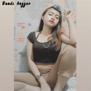 收听Sandi Angger的Bila Dia Menyukaiku歌词歌曲