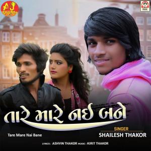 Listen to Tare Mare Nai Bane song with lyrics from Shailesh Thakor