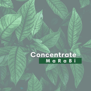 Dengarkan Concentrate (Radio Mix) lagu dari Marabi dengan lirik
