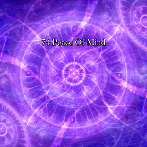 Album 74 Peace Of Mind from 