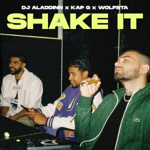 Dj Aladdinn的專輯Shake It