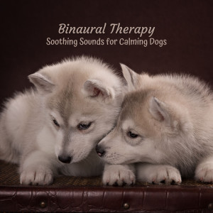 Binaural Therapy: Soothing Sounds for Calming Dogs