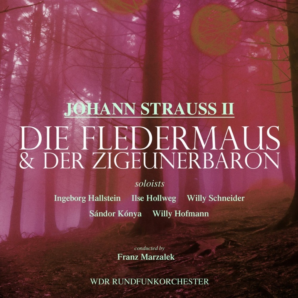 Die Fledermaus, RV 503