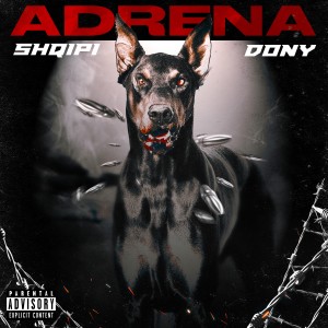 收聽Shqipi的Adrena (Explicit)歌詞歌曲