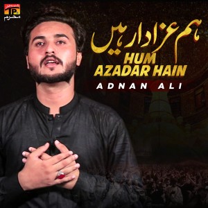 收聽Adnan Ali的Hum Azadar Hain歌詞歌曲
