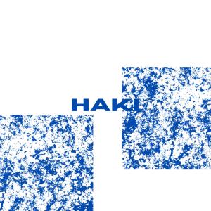 Fitzszn的專輯HAKI (Explicit)