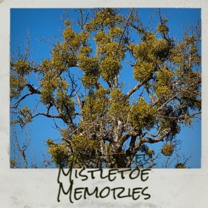 Album Consecrated Mistletoe Memories (Explicit) from Various