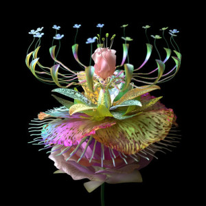 ดาวน์โหลดและฟังเพลง Super Natural (Dave Winnel Remix) พร้อมเนื้อเพลงจาก Danny L Harle