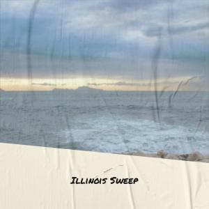 Album Illinois Sweep from Various