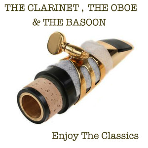 收聽The  Budnik Chambers Orchestra的Oboe Concerto, K 314. 3rd Mov.. Rondo: Allegretto歌詞歌曲