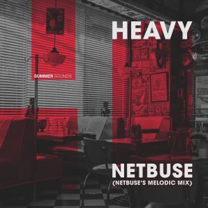 Listen to Heavy (Netbuse's Melodic Mix) song with lyrics from Netbuse