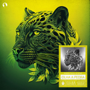 Listen to Olha A Pedra (Extended Mix) song with lyrics from Edson Faiolli