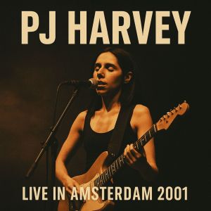 收聽PJ Harvey的Sheela-Na-Gig (Live)歌詞歌曲