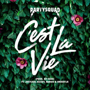 ดาวน์โหลดและฟังเพลง C'est la vie พร้อมเนื้อเพลงจาก The Partysquad
