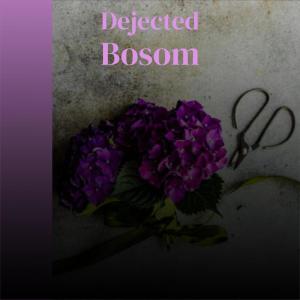 Various的专辑Dejected Bosom