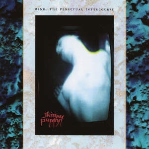 ดาวน์โหลดและฟังเพลง One Time One Place พร้อมเนื้อเพลงจาก Skinny Puppy