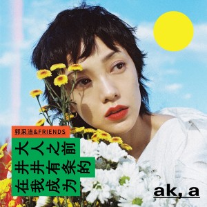 Listen to 在我成为井井有条的大人之前 song with lyrics from Amber Kuo (郭采洁)