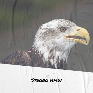 Listen to Subsiding song with lyrics from Eldy Cheb