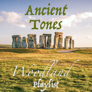 Listen to Wind of change song with lyrics from Wildlife