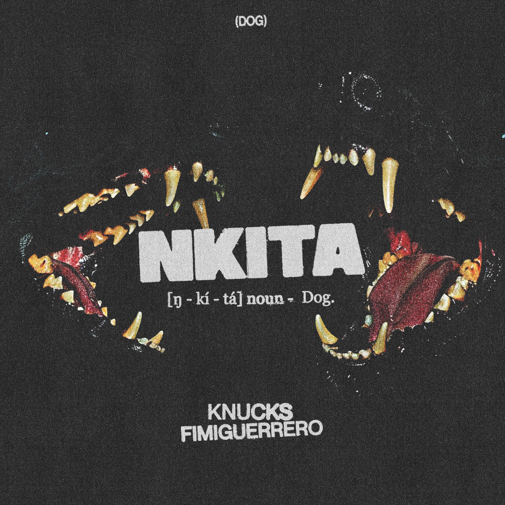 Nkita (feat. Fimiguerrero) (Explicit)