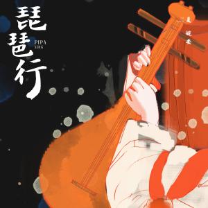 Listen to 琵琶行 (伴奏) song with lyrics from 夏婉安