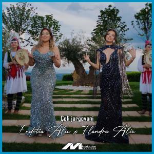 ดาวน์โหลดและฟังเพลง Shkojshin e thojshin พร้อมเนื้อเพลงจาก Flandra Aliu