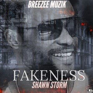 Shawn Storm的專輯FAKENESS (Official Audio)