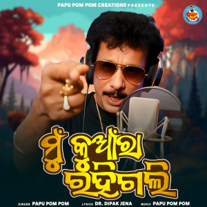 Listen to Mun Kuanra Rahigali song with lyrics from Papu Pom Pom