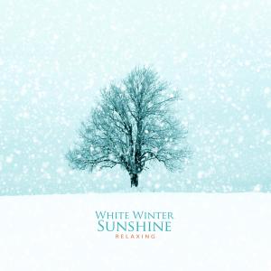 Album White Winter Sunshine from Relaxing