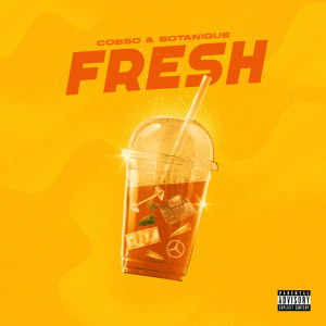 Listen to На свежем (Explicit) song with lyrics from Cobso