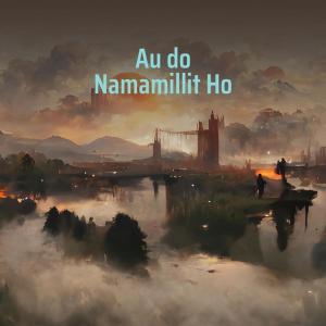 Album Au do Namamillit Ho (Remastered 2023) oleh FERNAL SITUMEANG