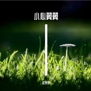 松果果的專輯小心翼翼