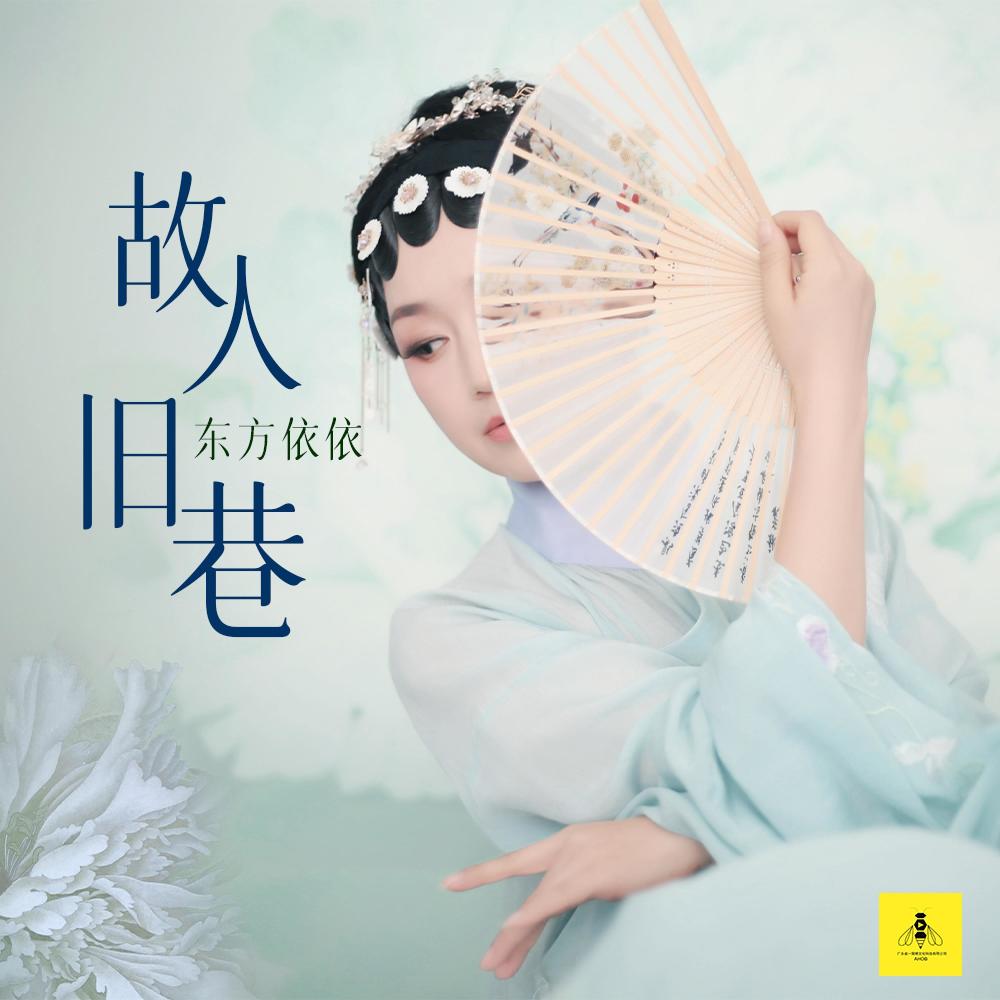 故人旧巷 (DJ神龙版伴奏)