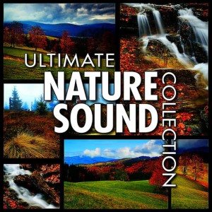 ดาวน์โหลดและฟังเพลง Slow Waves on a Pebble Beach พร้อมเนื้อเพลงจาก Nature Sounds