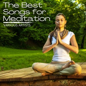 Listen to Reiki song with lyrics from Denis Moon