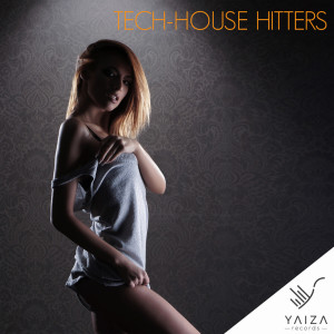 Various Artists的专辑Tech-House Hitters