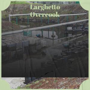 Various的专辑Larghetto Overcook