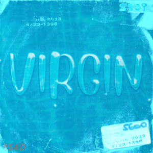 Album VIRGIN from YSAD