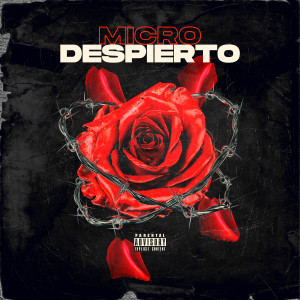 收聽Micro的Despierto (Explicit)歌詞歌曲