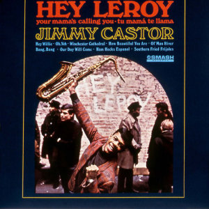 收聽Jimmy Castor的How Beautiful You Are歌詞歌曲