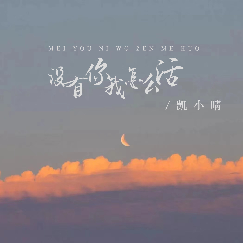 没有你我怎么活 (伴奏)
