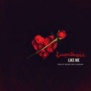 ดาวน์โหลดและฟังเพลง Like Me (Explicit) พร้อมเนื้อเพลงจาก Tumboii