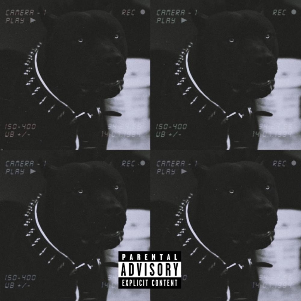 Big Dogs (feat. iJay, Yurdy & Cyzz) (Explicit)